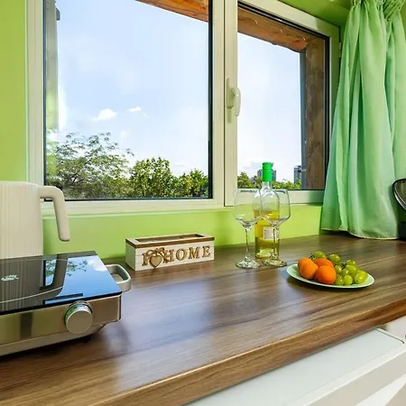 Sunflower Next To Kolodrum Plovdiv