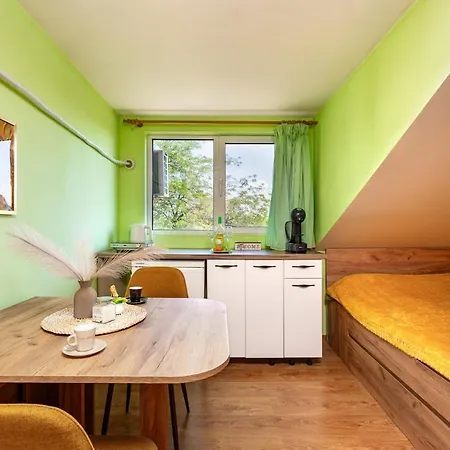 Sunflower Next To Kolodrum