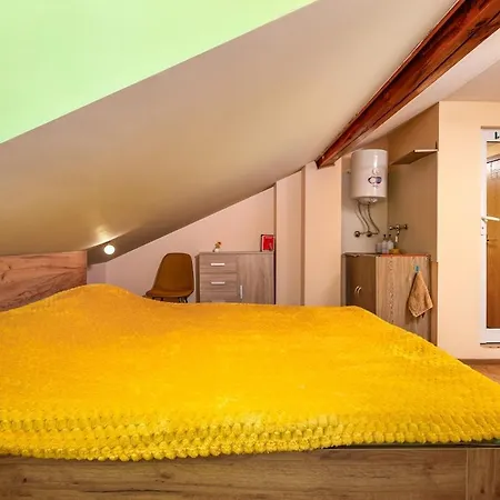 Sunflower Next To Kolodrum * Plovdiv