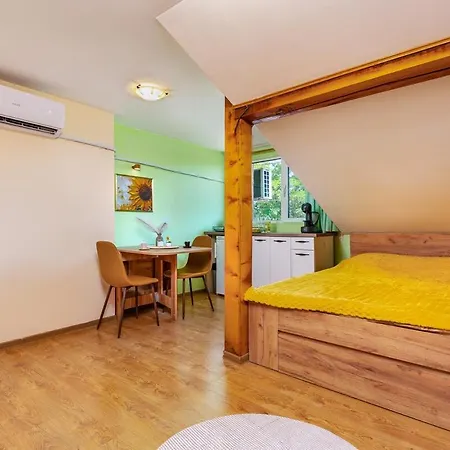 Sunflower Next To Kolodrum