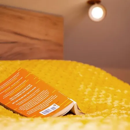 Sunflower Next To Kolodrum